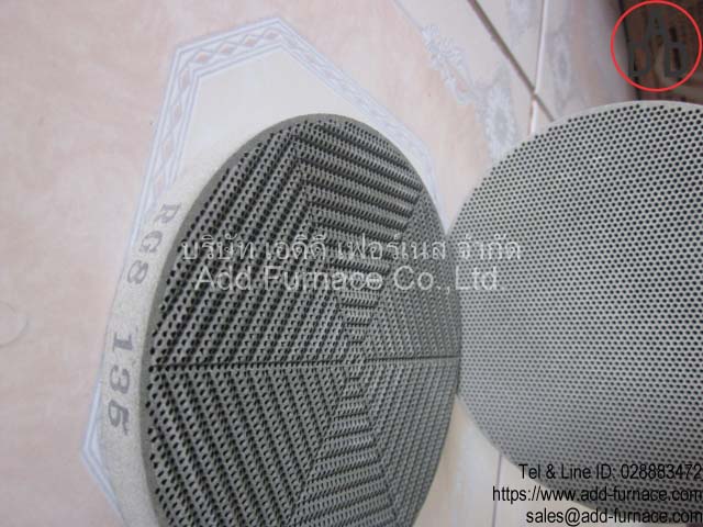 RG8 diameter 135mm ceramic honeycomb(3)